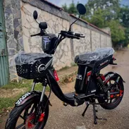 BICIMOTO HALCÓN NOVA 17 GEN 2026 - Img 55722955