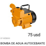 Ladrón de agua (Bomba de agua autocebante) - Img 55874114
