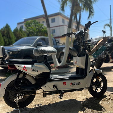 `🛵PATINETA ELÉCTRICA GANGA 🛵` - Img 123599408