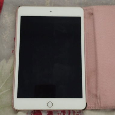 iPad mini 4 en venta 30 mil cup privado para detalles 55368398 - 2/2