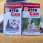 Antibiótico para Perros y Gatos - Img 55138436