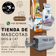 Tienda de mascotas. Comida para mascotas. Pet Shop. Accesorios para perros y gatos | Anuncios-cu - Img 45740217