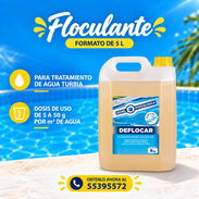 ✅️ FLOCULANTE floculante deflocar sellado - Img 57741051