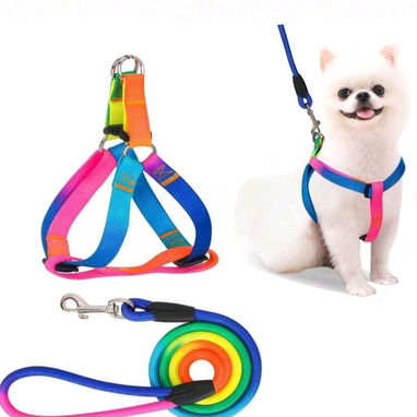 Artículos para mascotas: perros y gatos - Img 122093334