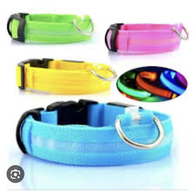Collares Luminosos Led para perros, con bateria. Nuevos - Img 57866601