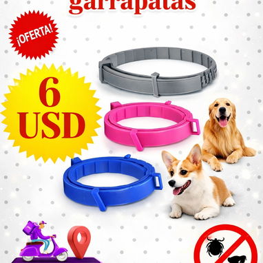 Accesorios para mascotas - Img 116480405