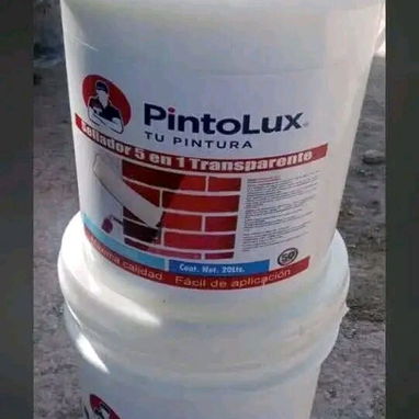 Pintura original selladas hasta la puerta de sus casas no dudes en llamar - 8/10