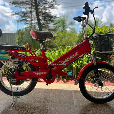 BICICLETA ELÉCTRICA IZUKI - Img 124560100