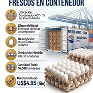 🥚HUEVOS LISTOS PARA ENTREGA INMEDIATA - Img 57481698