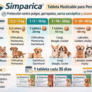Simparica para todos los pesos - Img 54638483