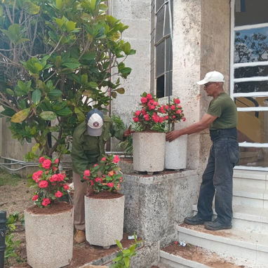 servicios de Jardinería y diseño - Img 119603287