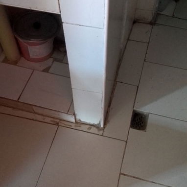 Vendo - 7/9