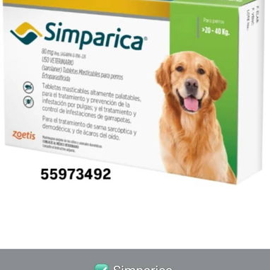 EME MASCOTAS 🐶🐱 - Img 122998485
