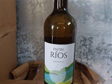 Vino blanco Español - Img main-image-45614987