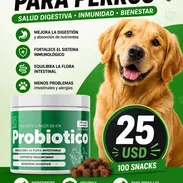 Probióticos para mascotas - Img 56773218