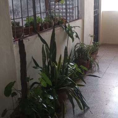Alquiler de apartamento - 5/10