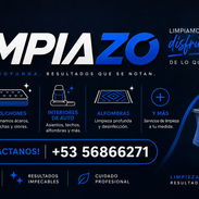 Limpieza Profunda de MUEBLES , COLCHONES , ALFOMBRAS Y MAS - Img 58097242