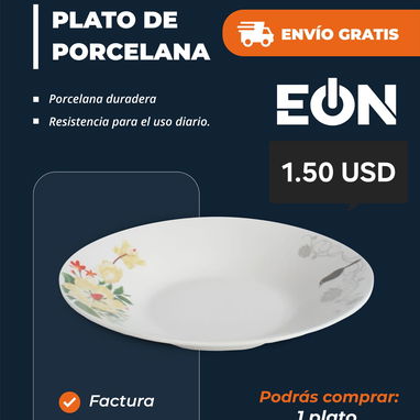 Plato de Porcelana - Img 125213341