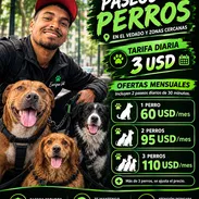 Paseo de perros en el Vedado y zonas cercanas - Img 57970580