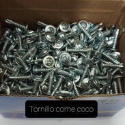 Tornillos Come Coco - Img 45223482