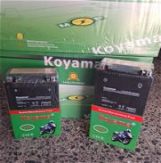 Baterías Koyama (tecnología japonesa) - Img 46175748