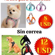 Articulos para mascotas - Img 48635910