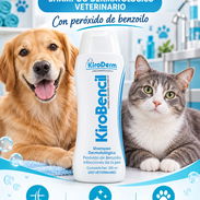 Shampoo dermatologico para mascotas - Img 58379806
