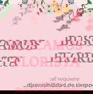 Buscamos Floristas - Img 49301411