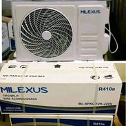 Esplit Milexus - Img 55012363
