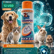 Shampoo Medicado de Clorhexidina 240 ml - Img 58024953