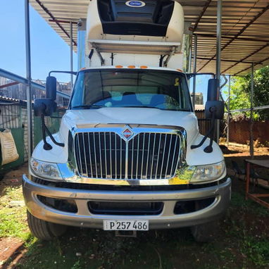 Se vende o se hace negocio para abajo camión 2019 mecánica mikumi un animalon con contenedor refrigerado - Img 119073288