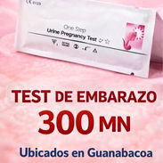 Pruebas de embarazo - Img 55573407