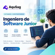 Ingeniero de Software Junior | Remoto - Img 58118860