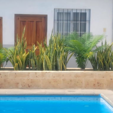 🏖️¡Vive unos días relajantes en nuestra Casa de renta frente a la playa de Guanabo! - Img 103221400