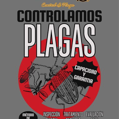 Fumigación Y Control De Plagas - Img 113507865