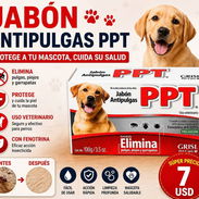 Jabón  PPT anti pulgas y garrapatas - Img 56002620