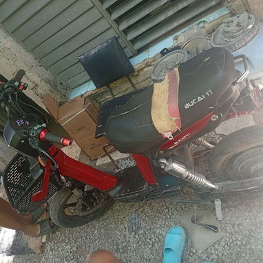 Se vende bisimoto - Img 124492981