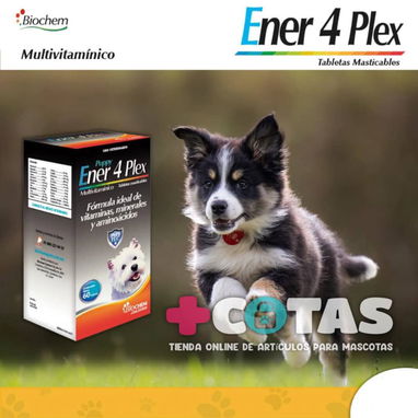 Ener 4 Plex vitaminas para perros - Img 102238049