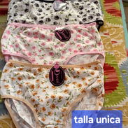 Se vende - Img 57422373