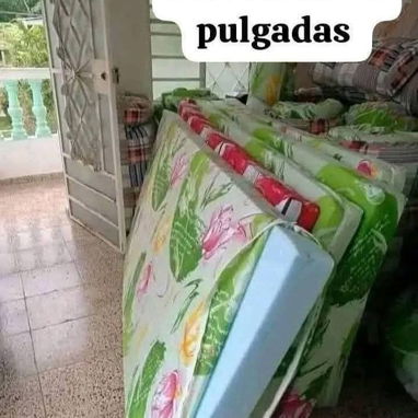 ✓colchones de espuma de 8 pulgadas . Disponible - 3/4