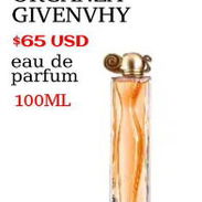 Organza Givenvhy - Img 55407635