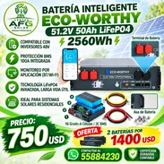 🤩🤩BATERÍA ECO-WORTHY LIFEPO4 51.2V 50AH. 750USD - Img 57482384