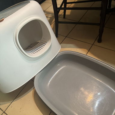 Caja de arena para gatos - Img 123974337