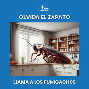 Fumigamos todo tipo de plagas( Cucarachas, Chinches, Mosquitos, etc) - Img 43180089