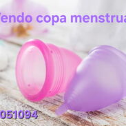 Vendo copas menstruales - Img 45623214
