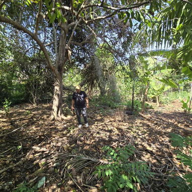 Terreno en celimar - 2/6