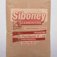 Cemento gris Siboney p250 - Img 56839125