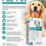 Calmante natural en suspensión para perros - Img 56214205