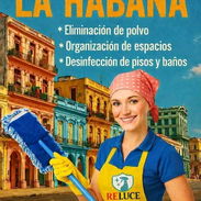 Servicio de limpieza para tu casa, negocio ú oficina - Img 57148424