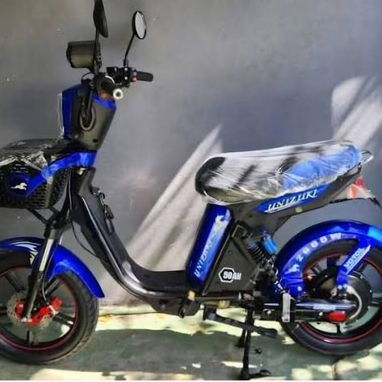 *BICIMOTO UNIZUKI JAPONESA(LITIO Lifepo4 48V-40Ah)2000W(Caja VOTOL)NEW(TF:51469270) - Img 122352963